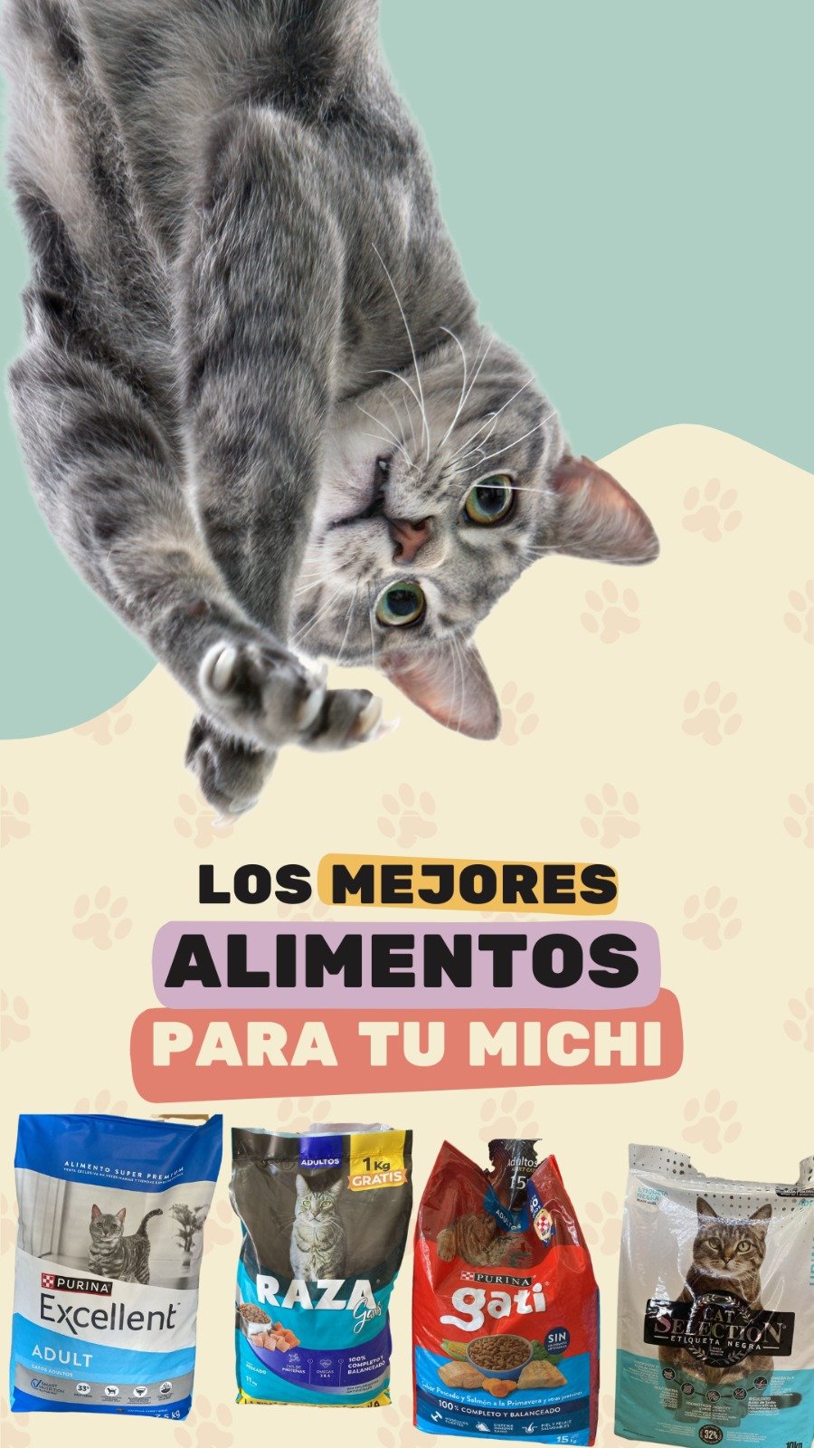 Alimento para gatos